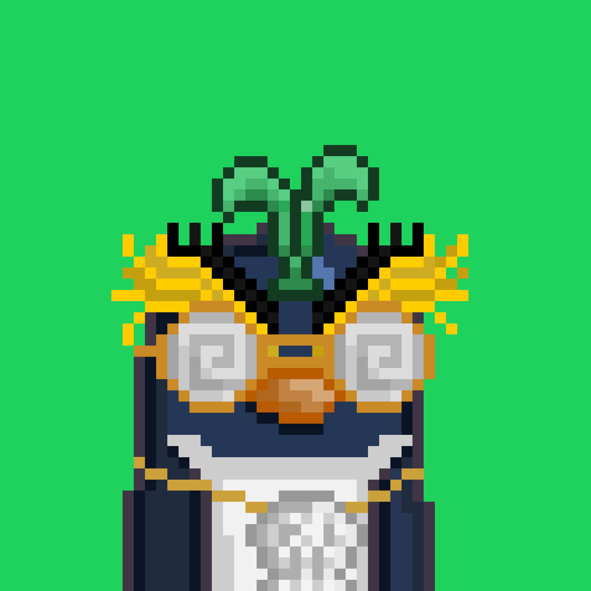 Algo Pengu #273 NFT on Algorand