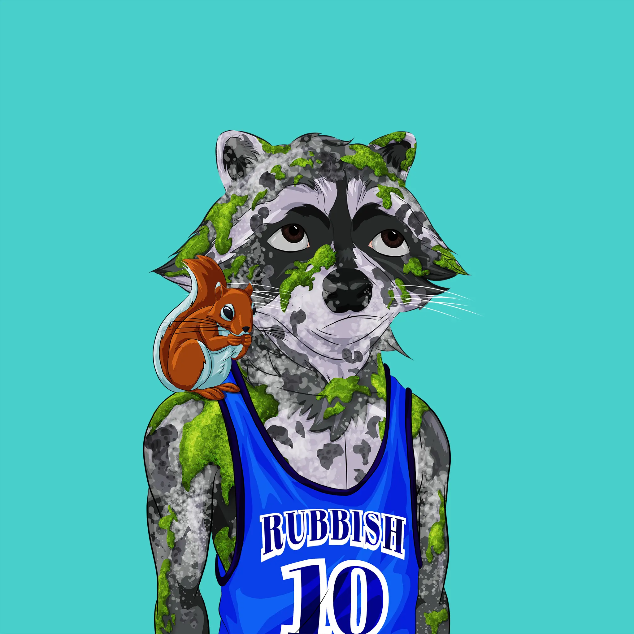 AlgoRaccoon #1517 NFT on Algorand