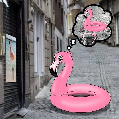 Flamingo Adventures #32
