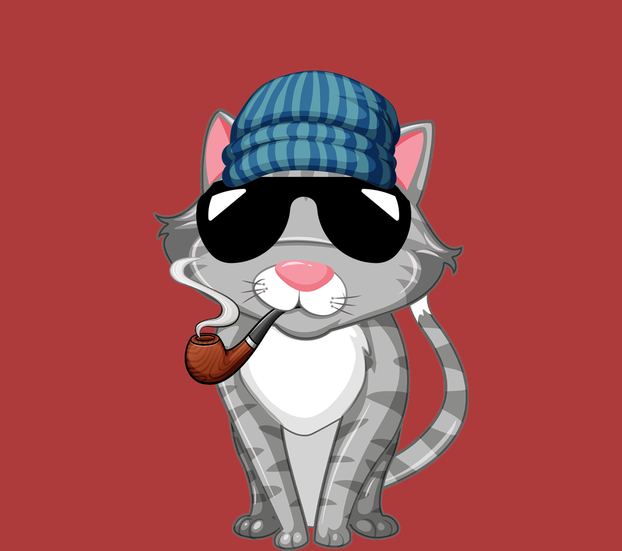 AlgoKitten #1 NFT on Algorand