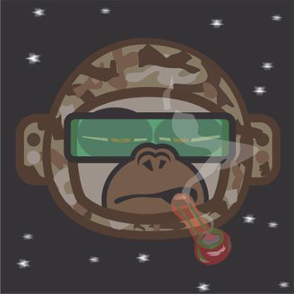 Space Monkey Night Vision