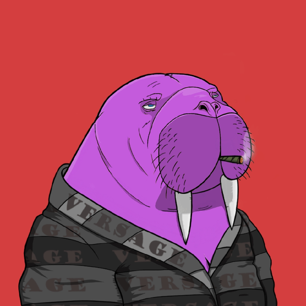 An image of GANG OF WALRUSES #35