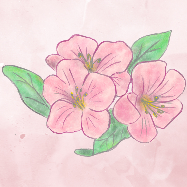 Bloom #2 NFT on Algorand
