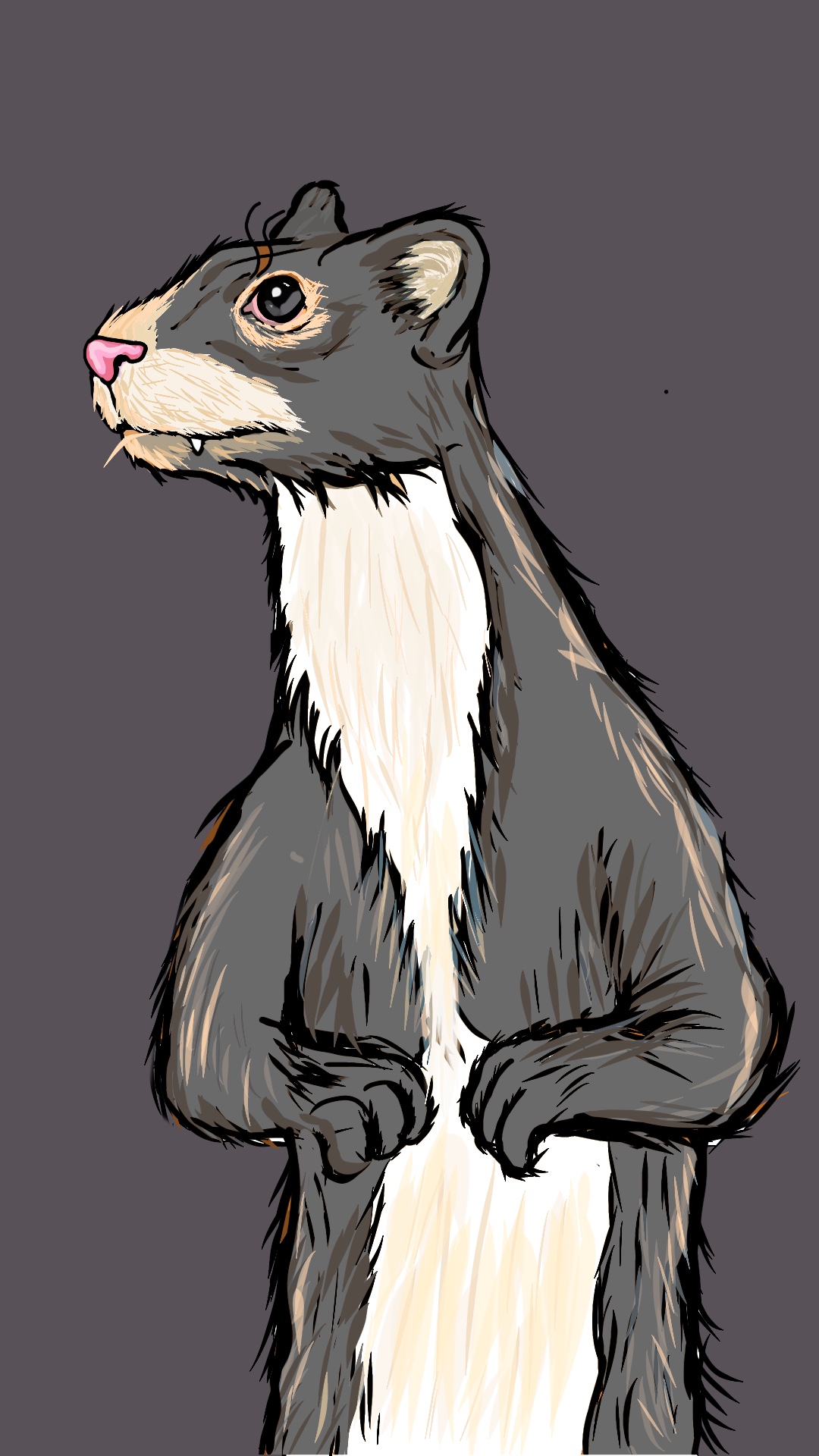 Weasalgo#12 NFT on Algorand