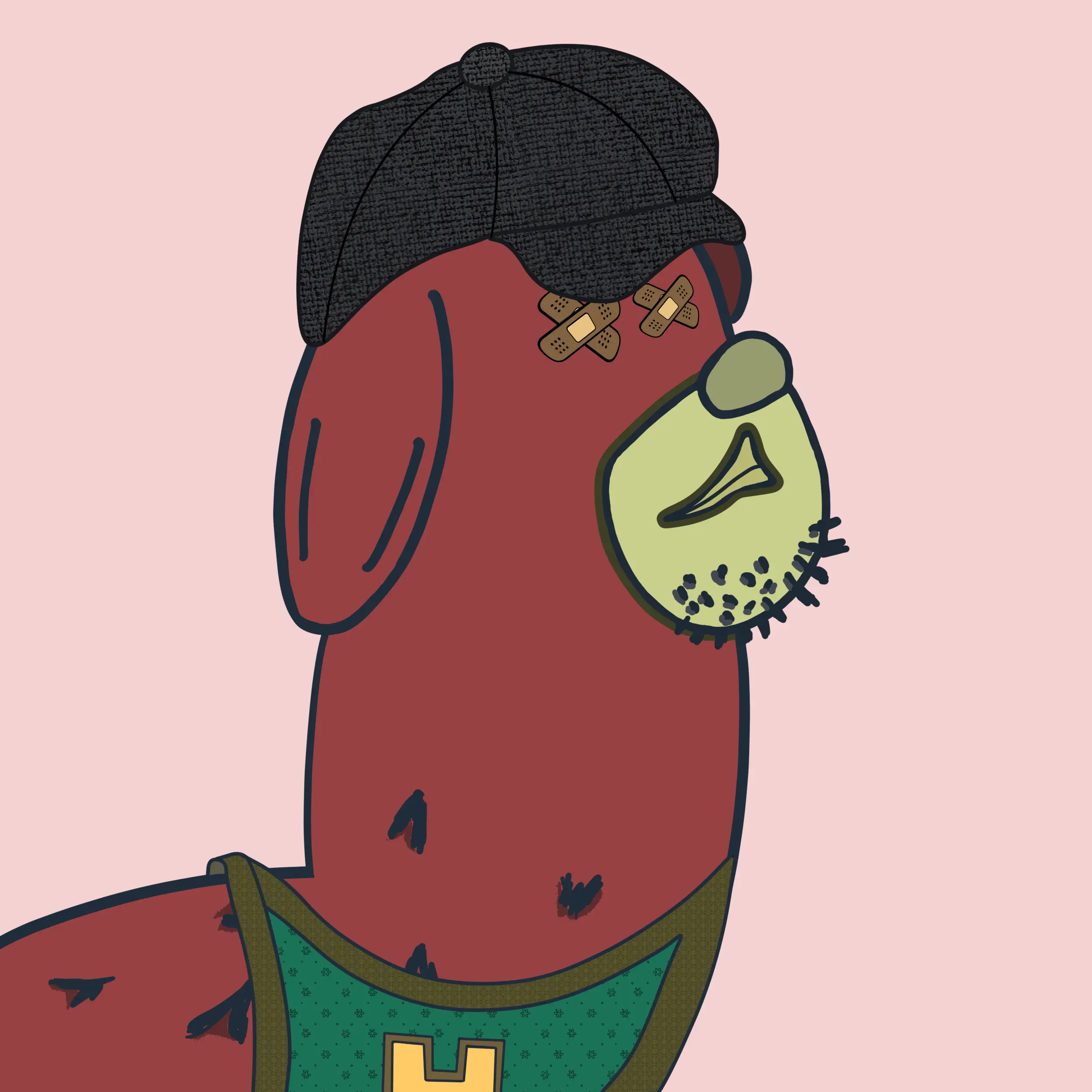 HODLR #1338 NFT on Algorand