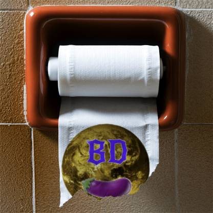 BD Toilet Paper 