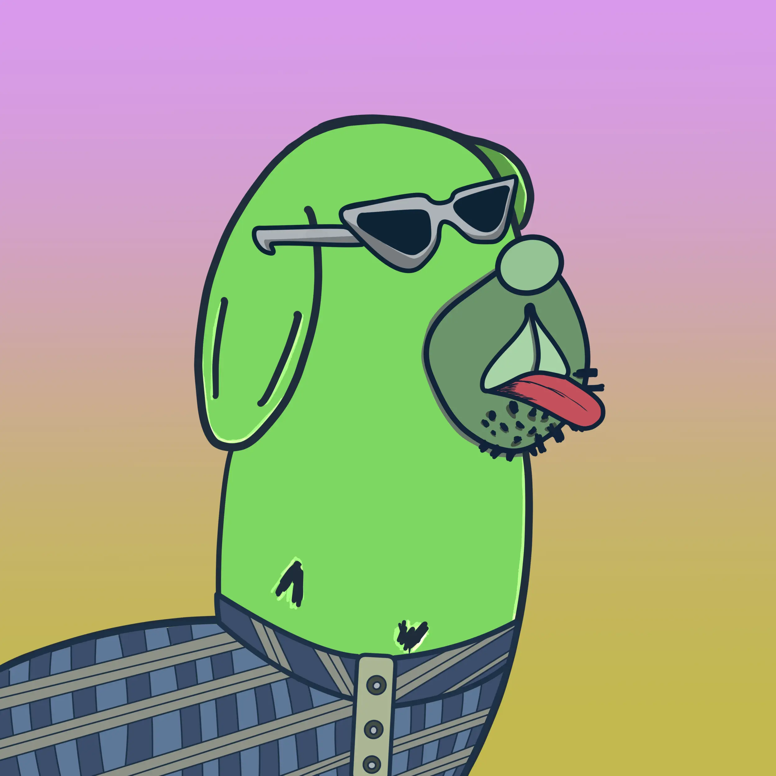 HODLR #808 NFT on Algorand