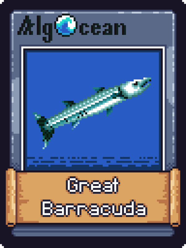 An image of Great Barracuda