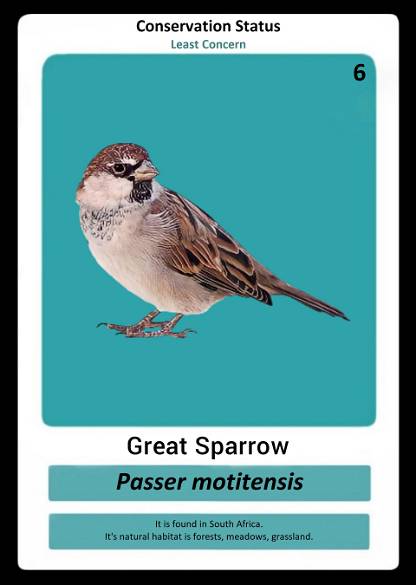 Great Sparrow