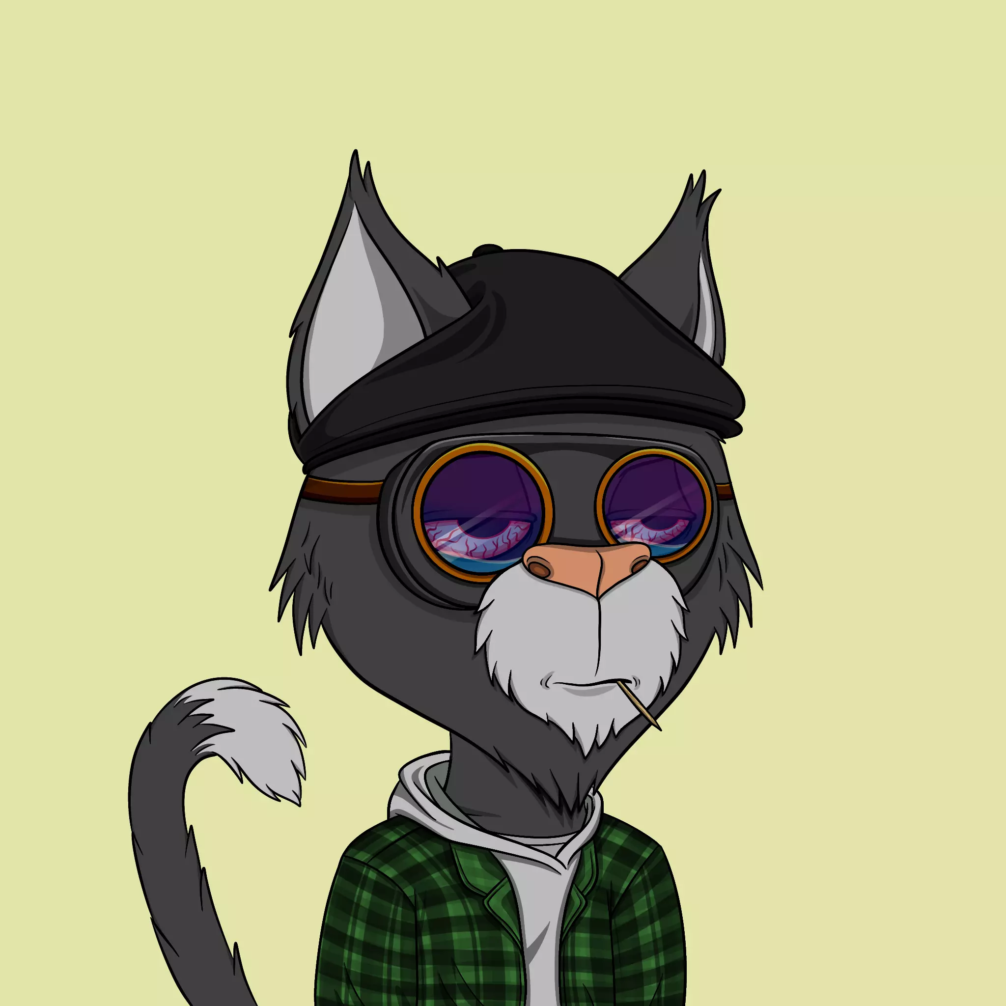 Totally Average Cats #2632 NFT on Algorand