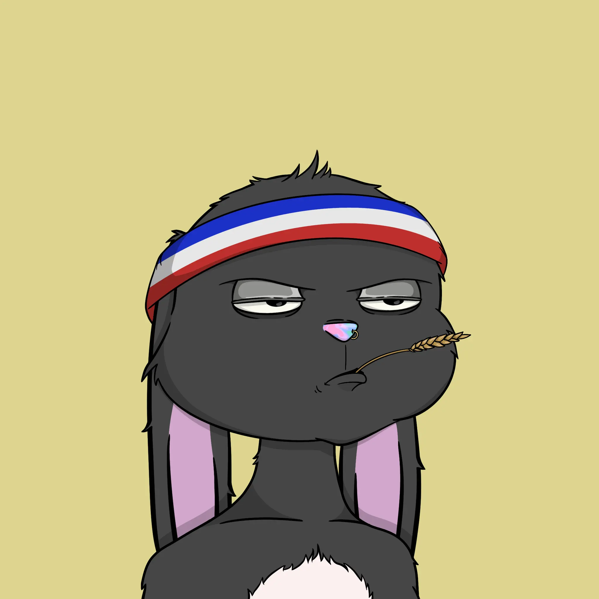 Bad Bunny Society #781 NFT on Algorand