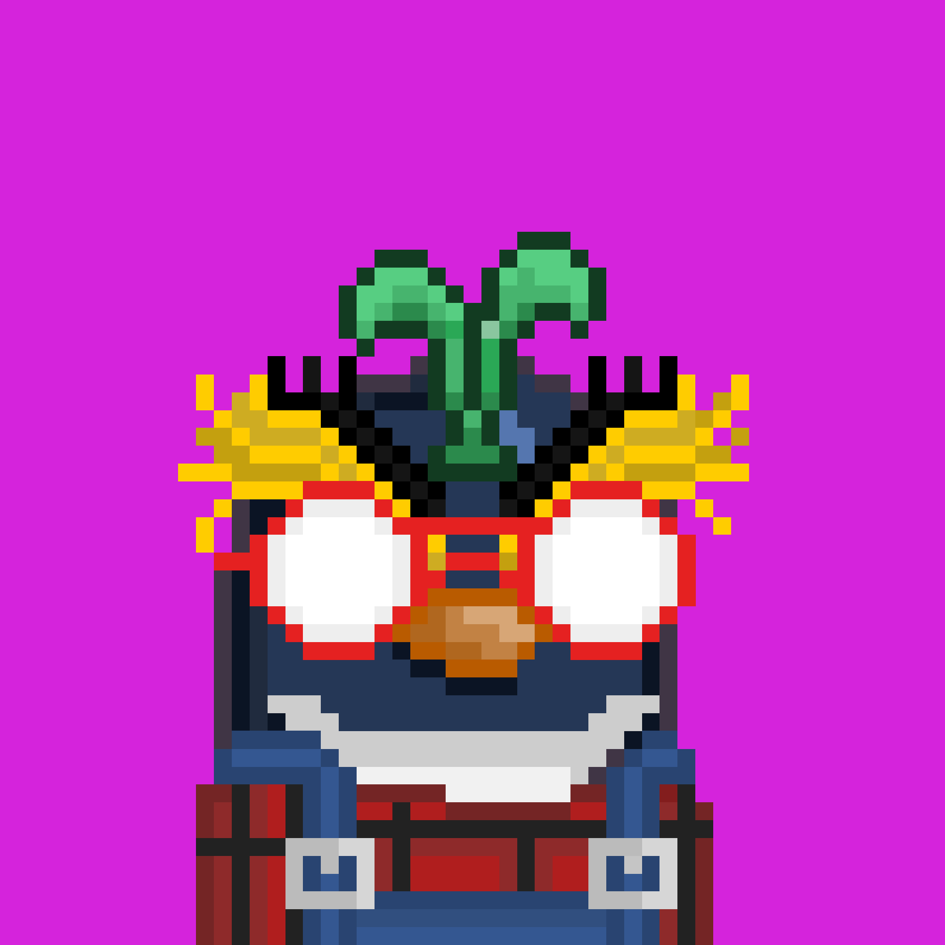 Algo Pengu #1348 NFT on Algorand