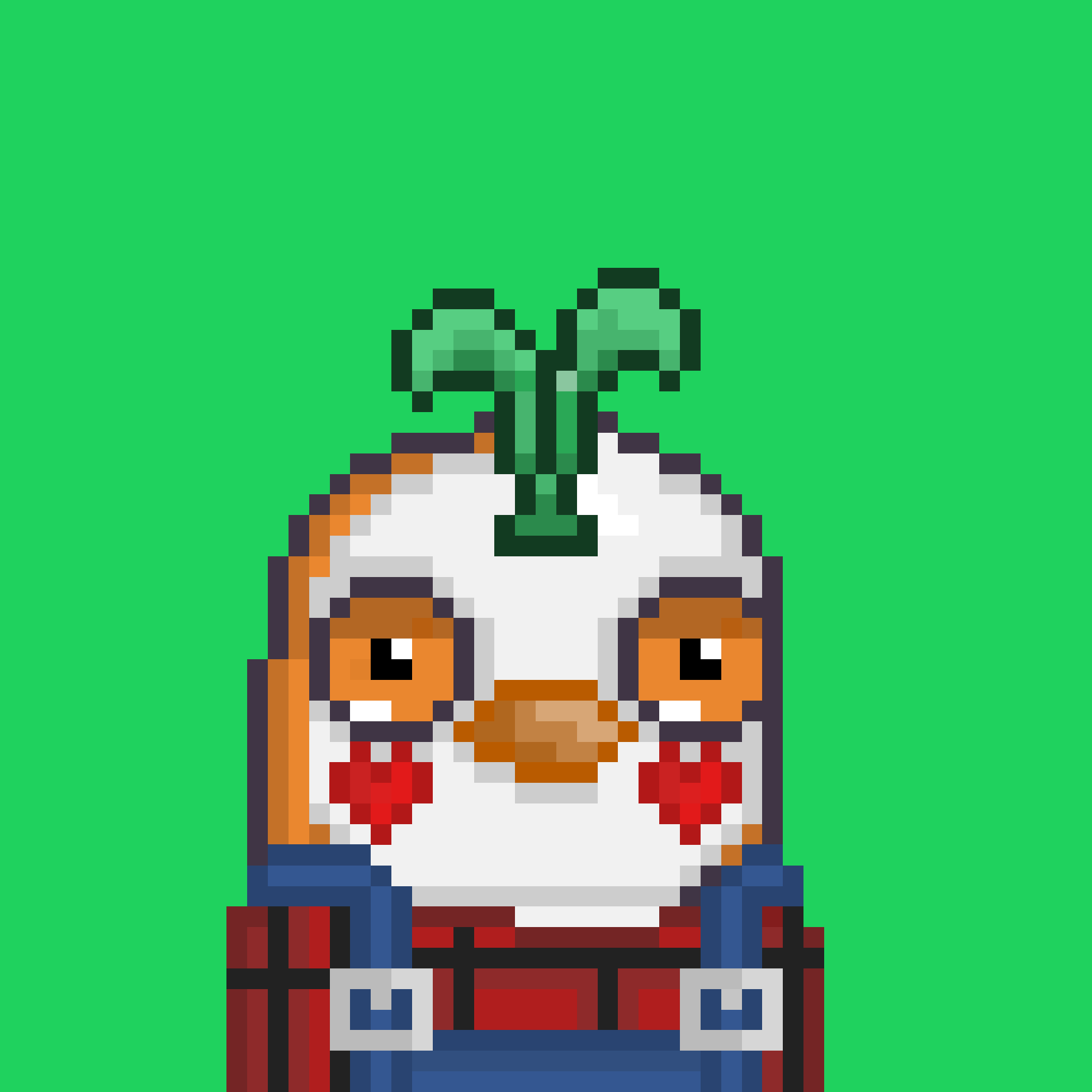 Algo Pengu #1440 NFT on Algorand