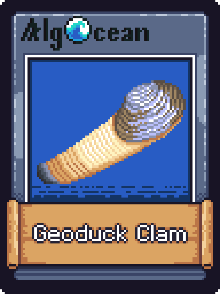 Geoduck Clam NFT on Algorand