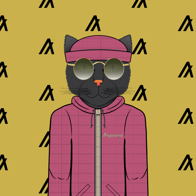 9Lives Algo Hoodie #12 NFT on Algorand