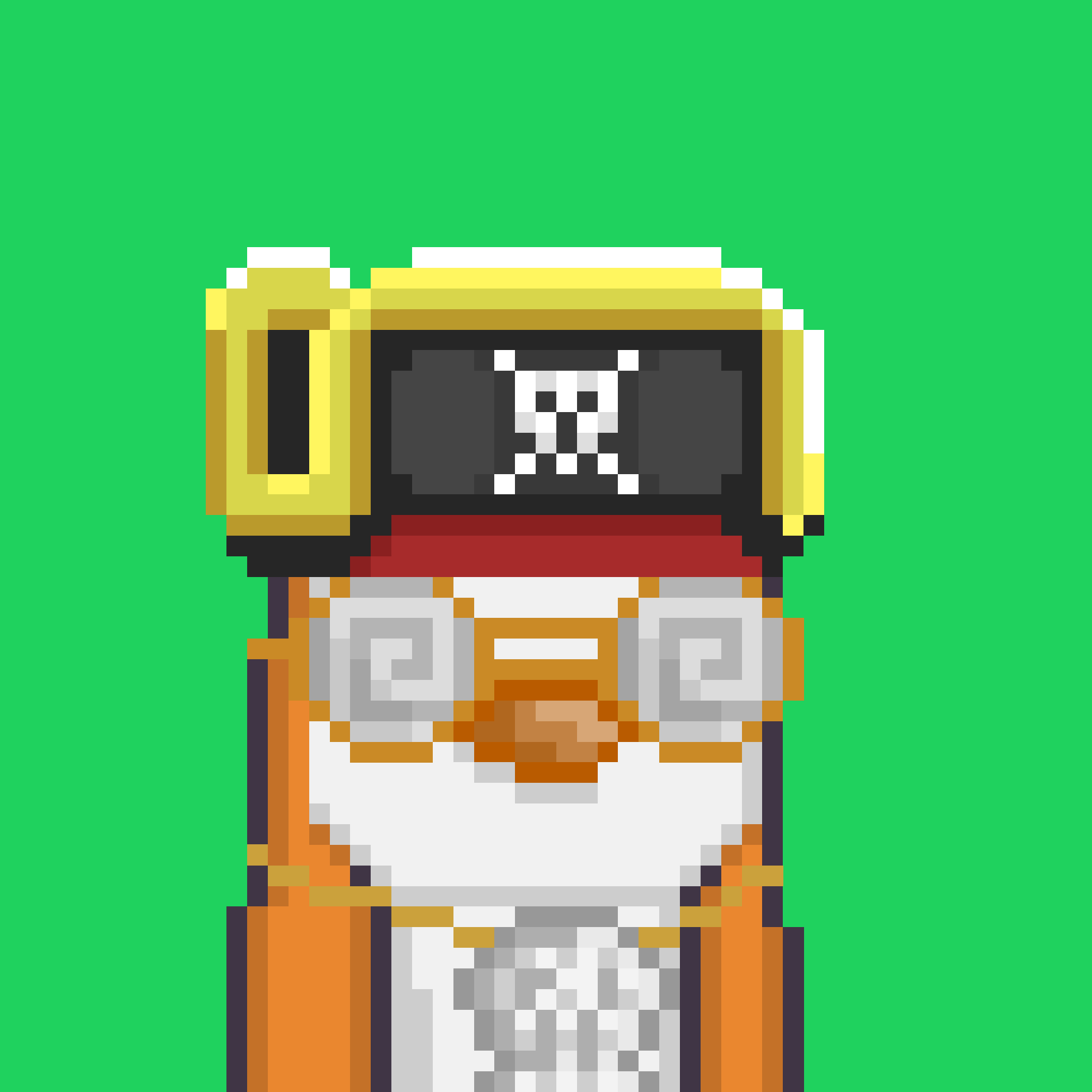 Algo Pengu #217 NFT on Algorand