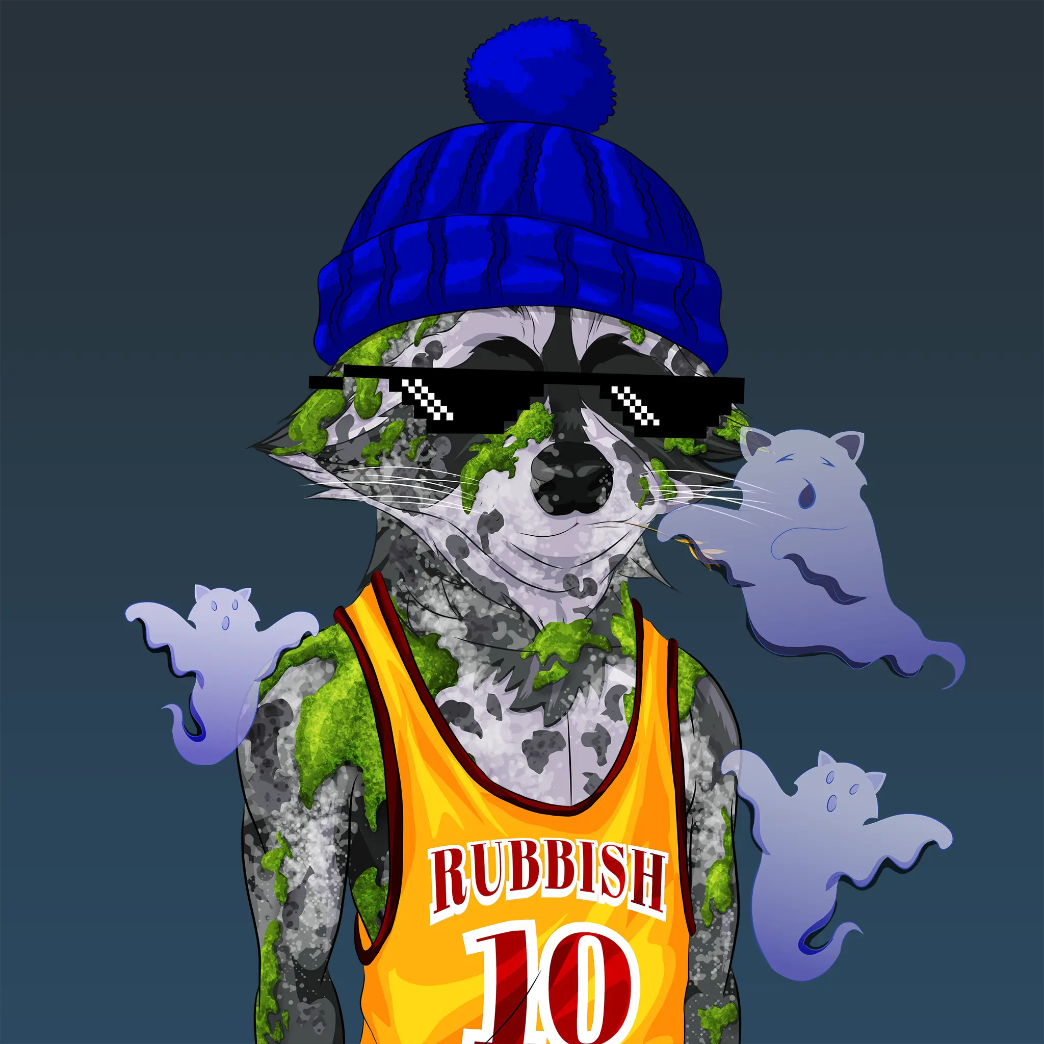 AlgoRaccoon #1409 NFT on Algorand
