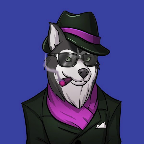 AlgoHusky icon