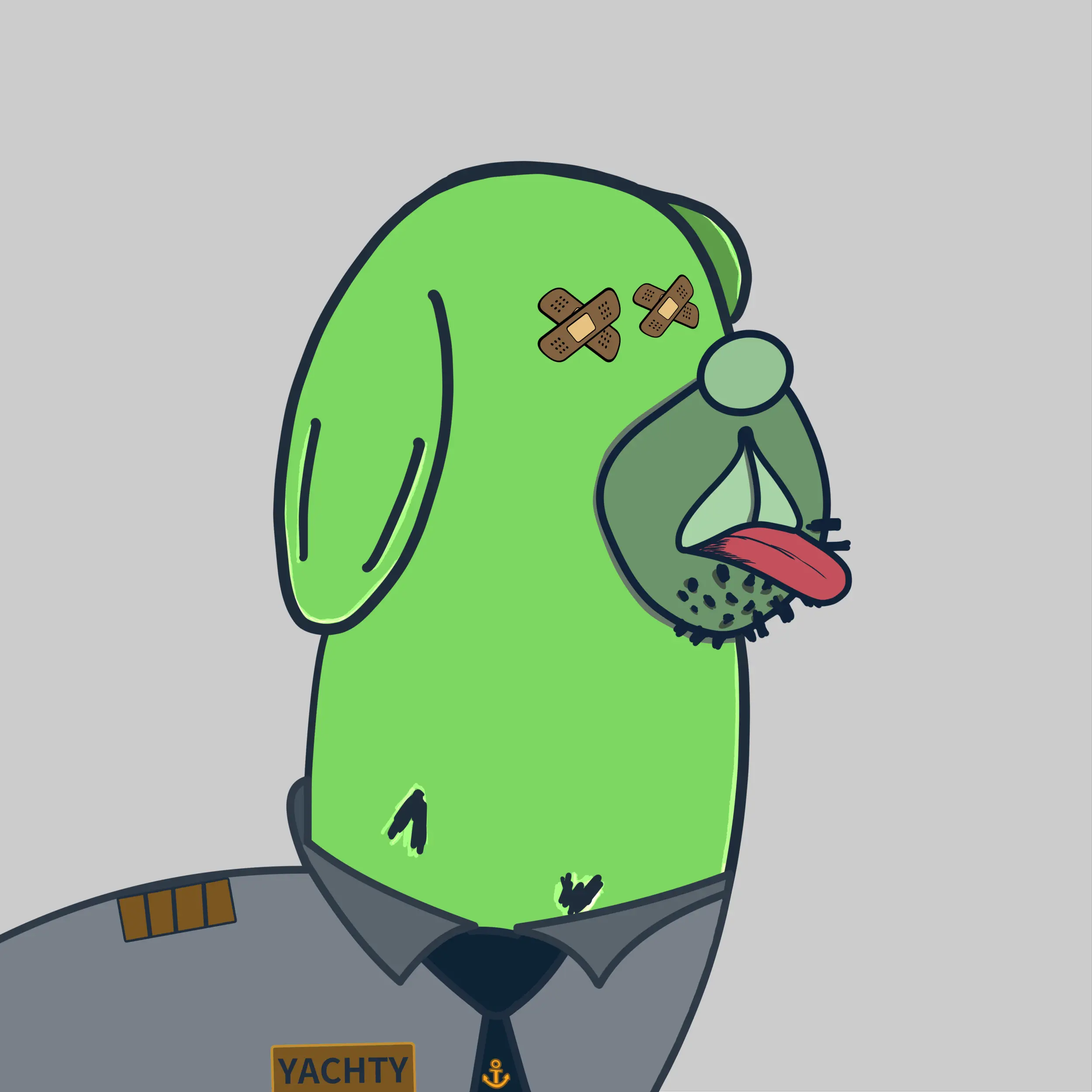 HODLR #902 NFT on Algorand