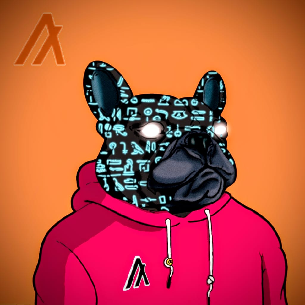 Algo Frenchies #47 Hieroglyphs NFT on Algorand