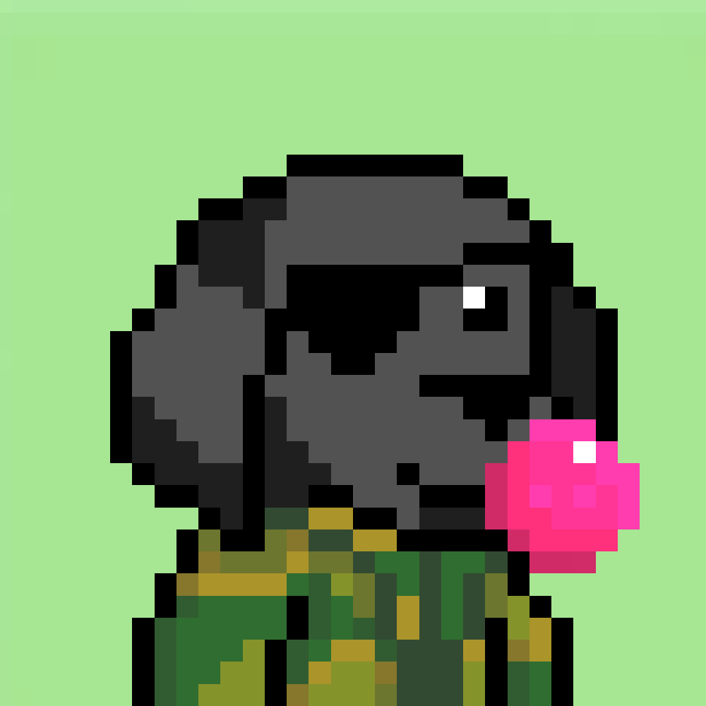 Pixel Pups #808 NFT on Algorand