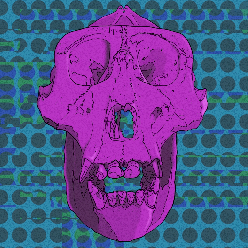 Prime Ape NFT on Algorand