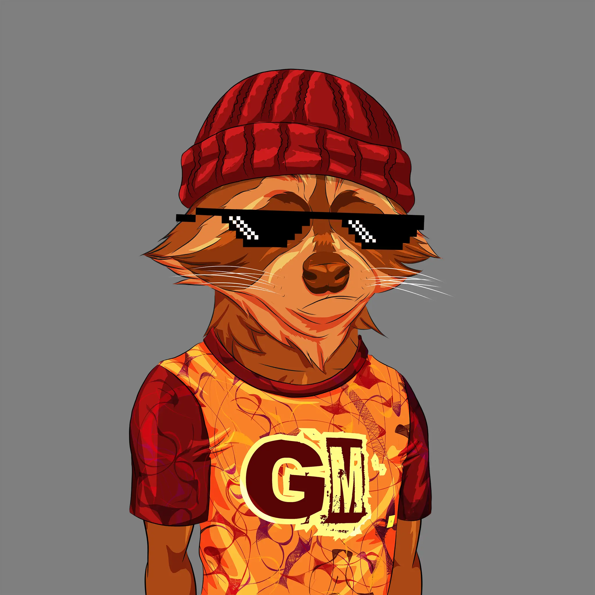 AlgoRaccoon #807 NFT on Algorand