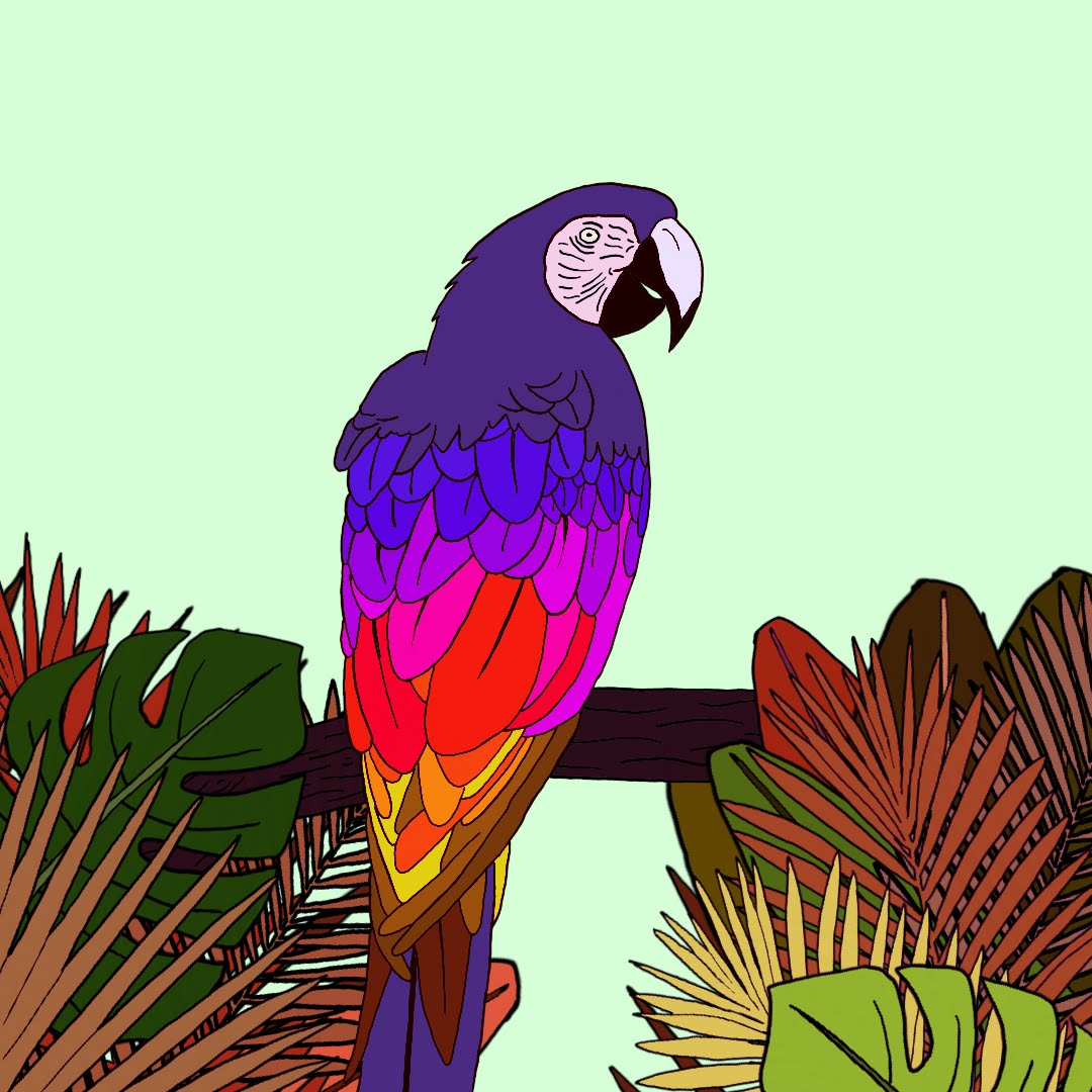 Algo_Parrot_019 NFT on Algorand