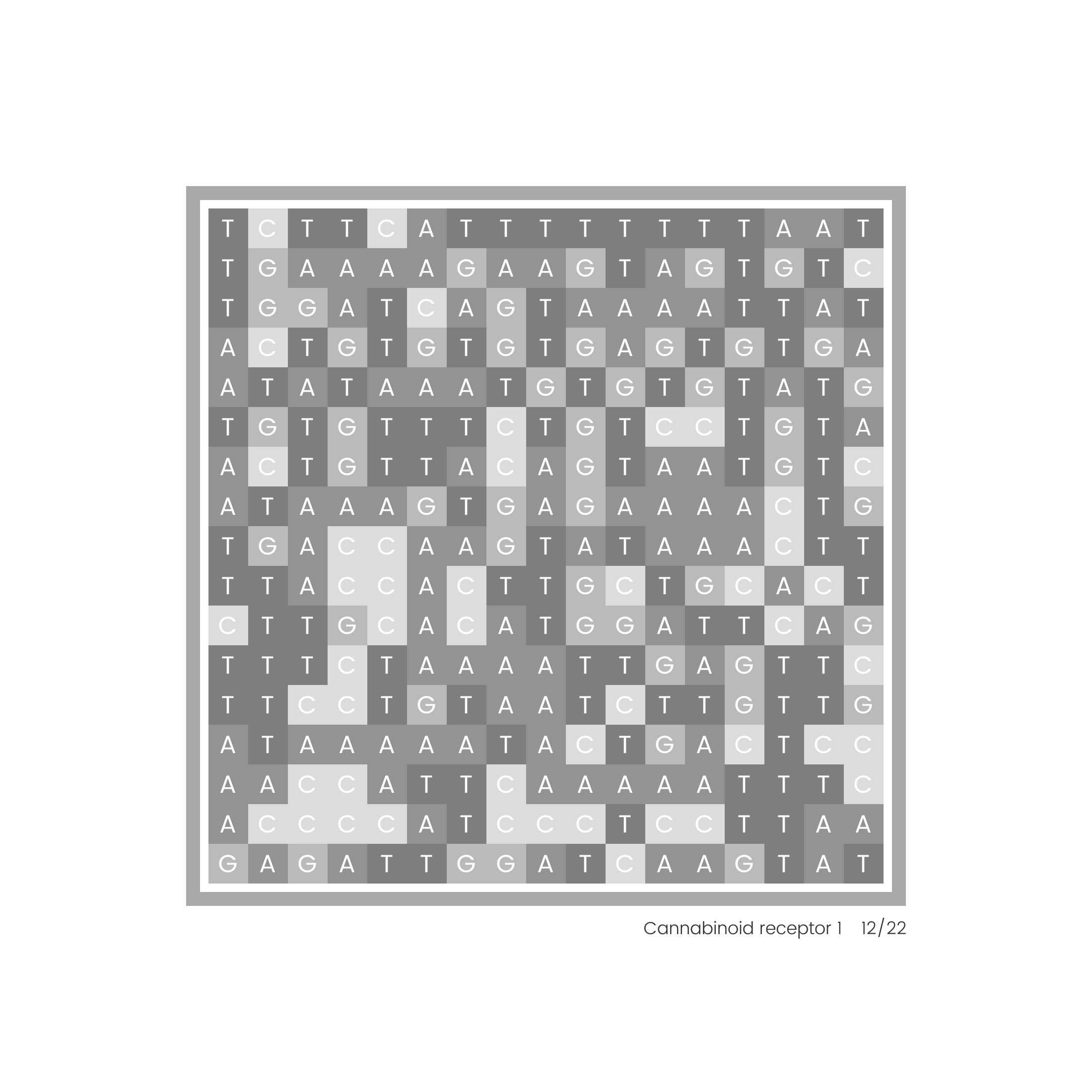 Gene Blocks – Cannabis 12 NFT on Algorand