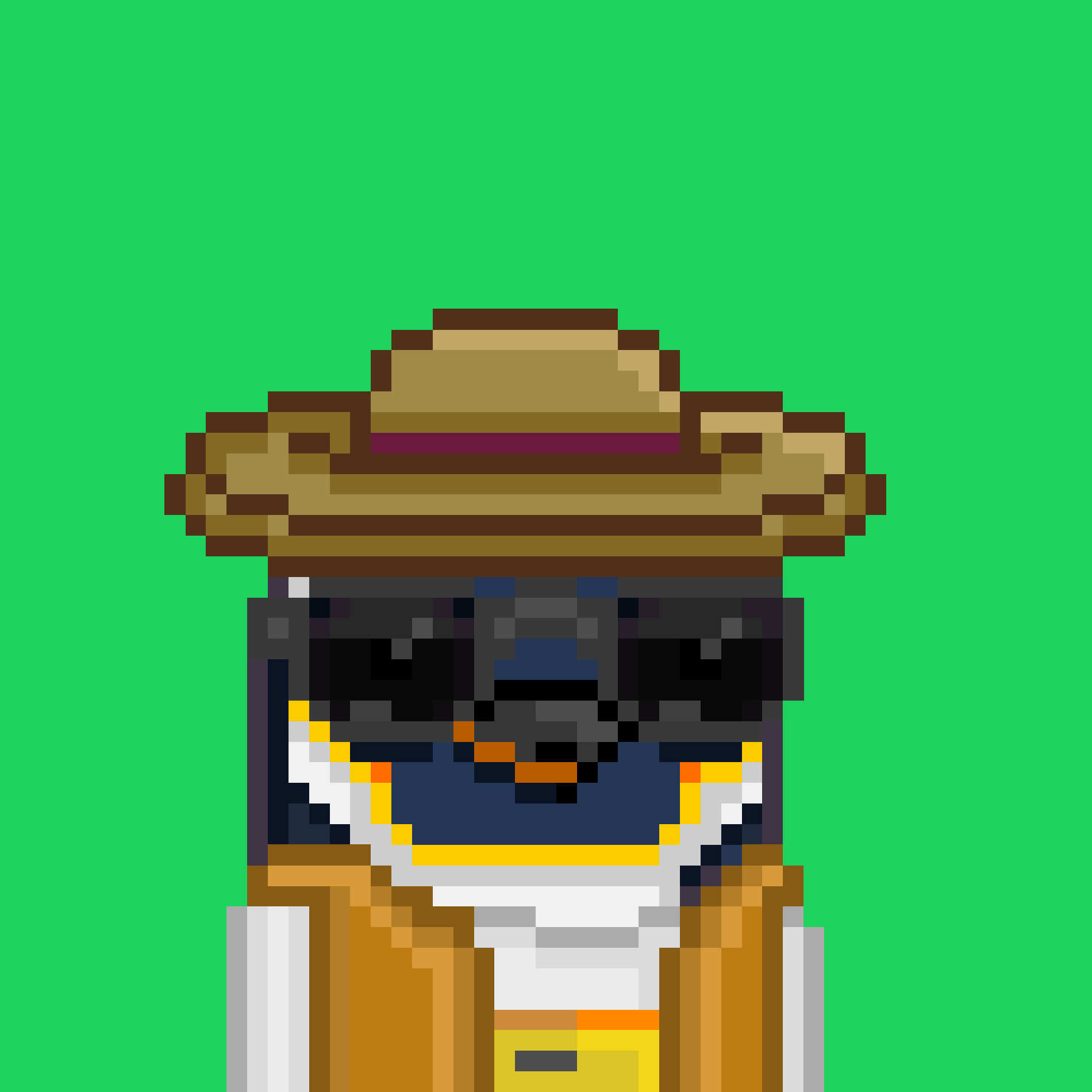 Algo Pengu #511 NFT on Algorand