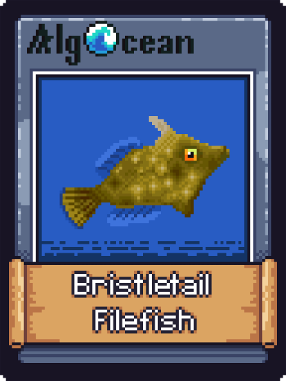 Bristletail Filefish