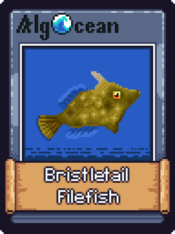 An image of Bristletail Filefish