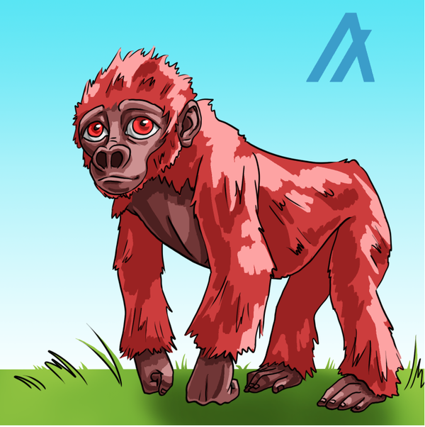 Image of (Red)Babyrilla