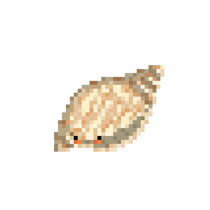 Shell NFT on Algorand