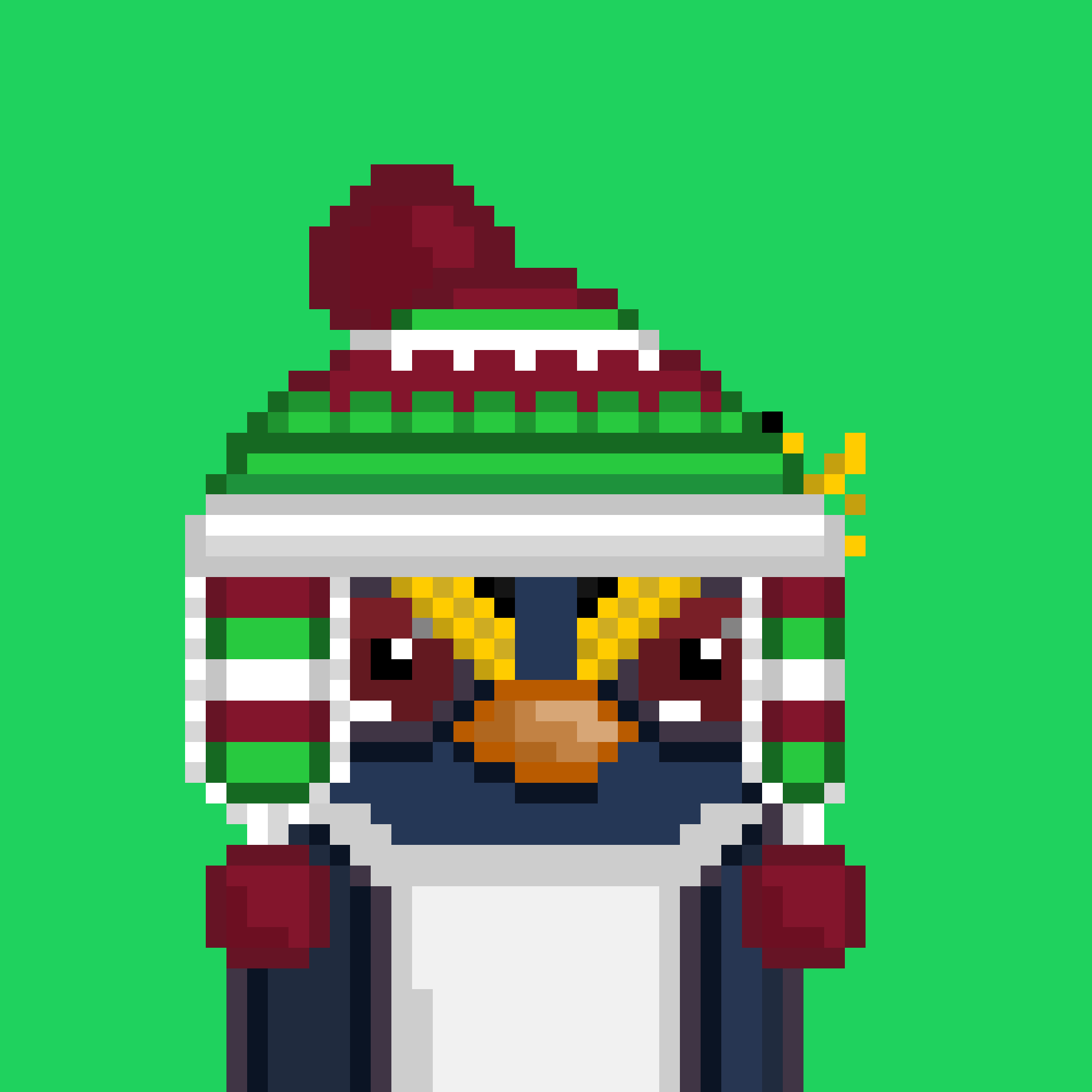 Algo Pengu #216 NFT on Algorand