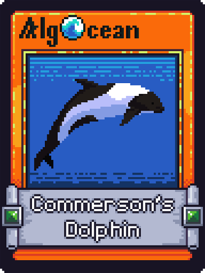Commersons Dolphin