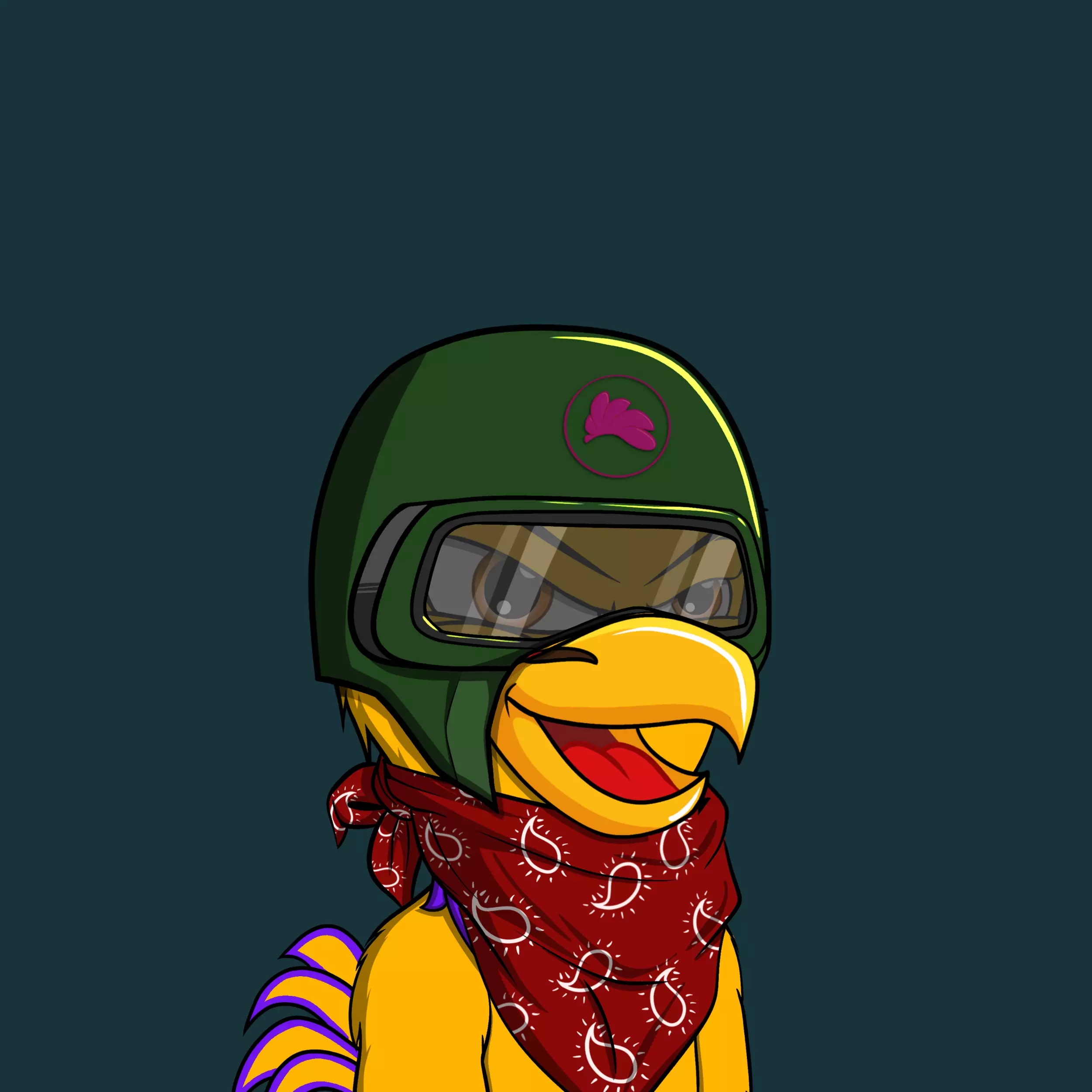 Gamecock JR's #996 NFT on Algorand