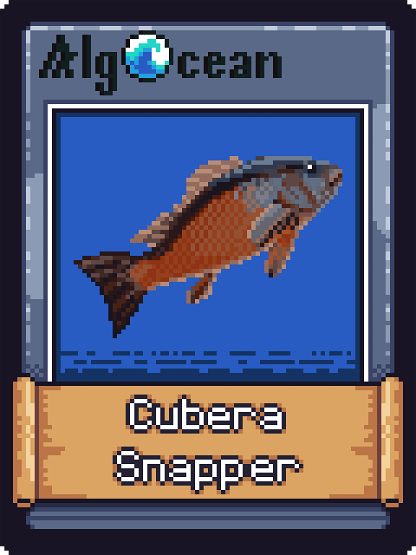 Cubera Snapper