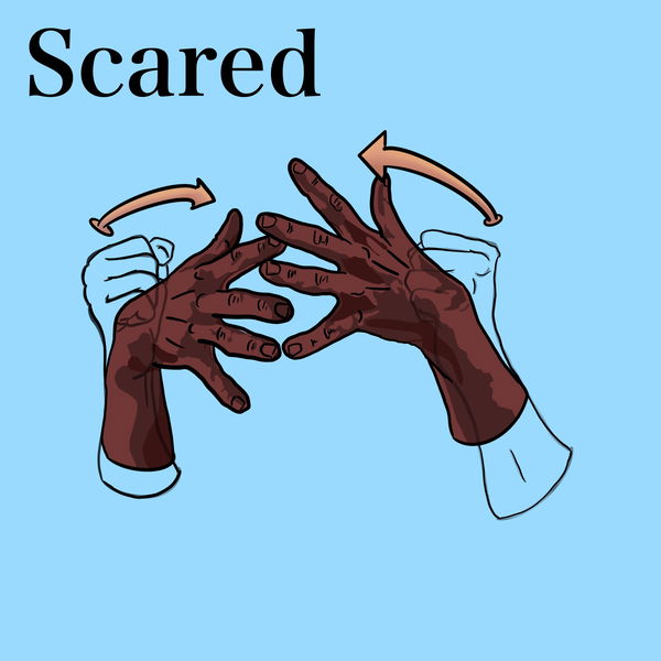 An image of Algo Sign - Scared