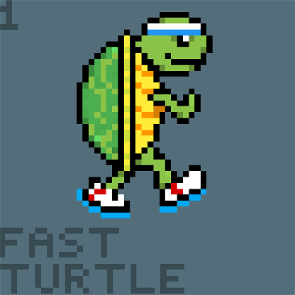 Fast Turtle #1