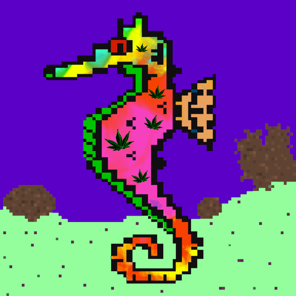 An image of Acid Seahorse #159