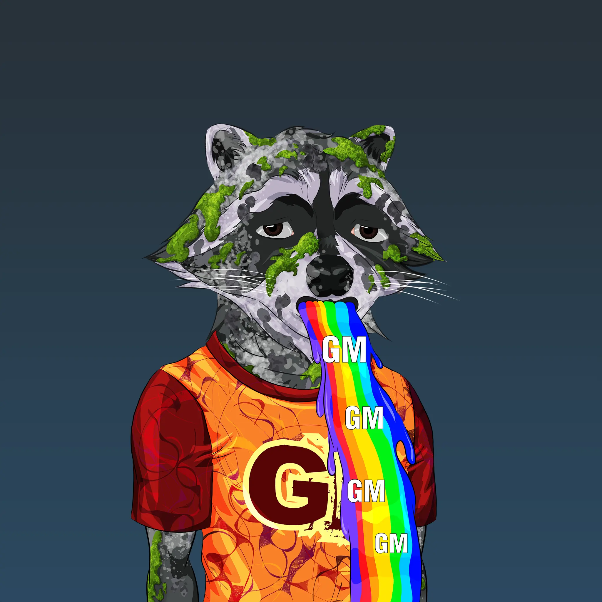 AlgoRaccoon #804 NFT on Algorand