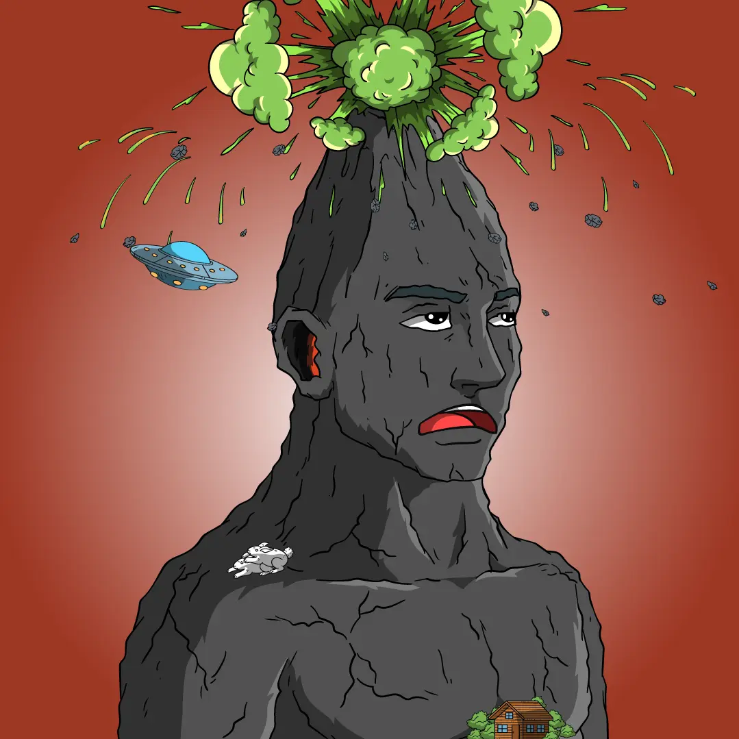 Volcano Boyz #1071 NFT on Algorand