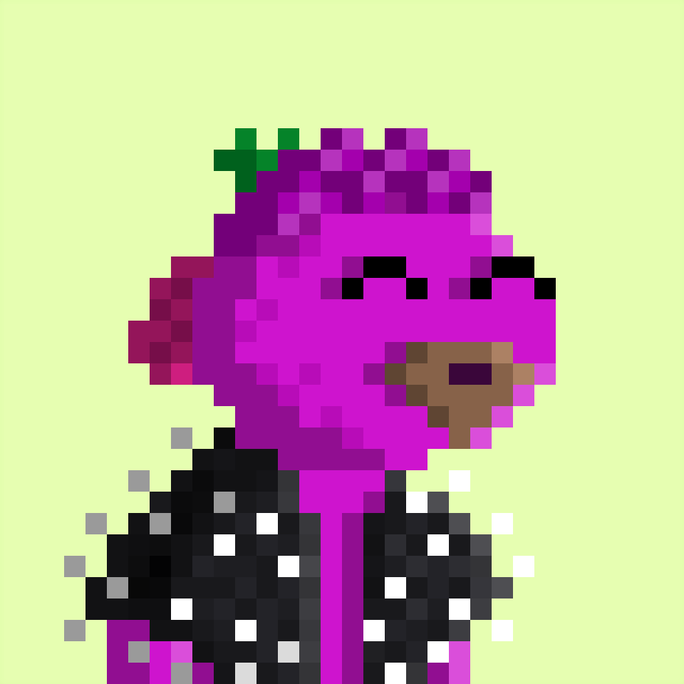 Chums #1173 NFT on Algorand