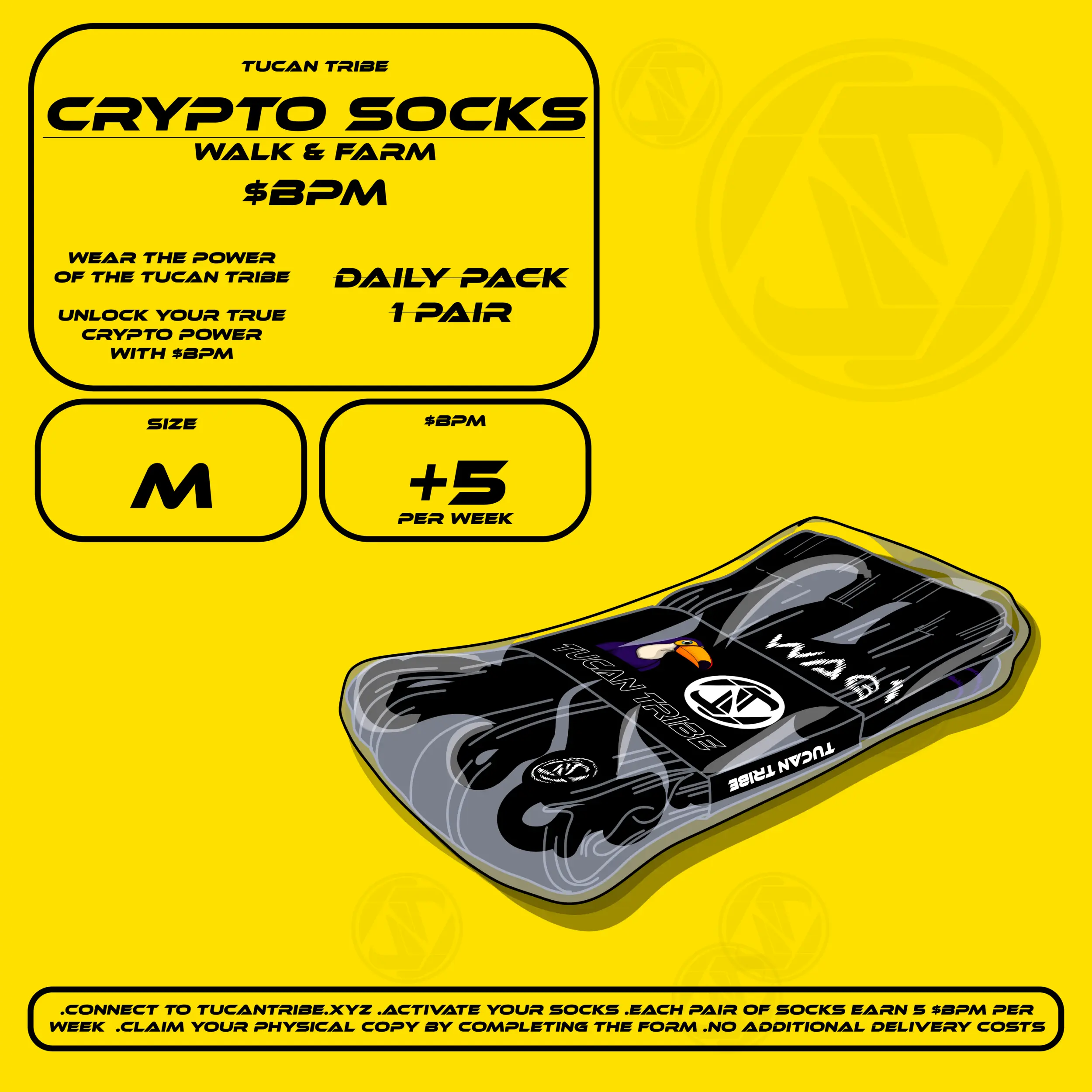 Tucan Tribe Crypto Socks #43 NFT on Algorand