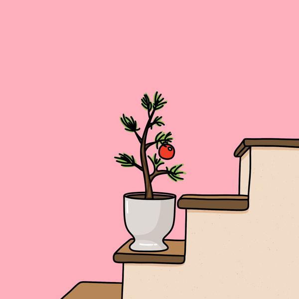 An image of Algo House Plant #0021