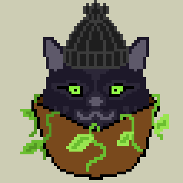 CatBox#223 NFT on Algorand