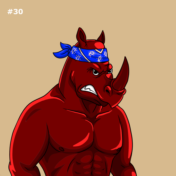 An image of Rowdy Rhino #030