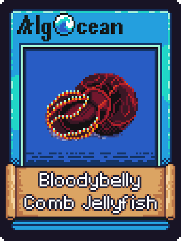 An image of Bloodbelly Comb Jellyfish