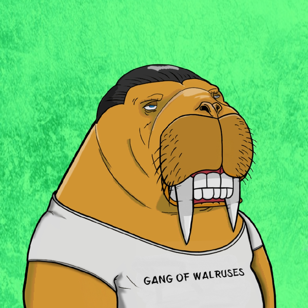 An image of GANG OF WALRUSES #23